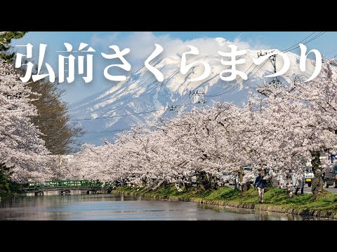 Hirosaki Cherry Blossom Festival (Aomori, Japan)