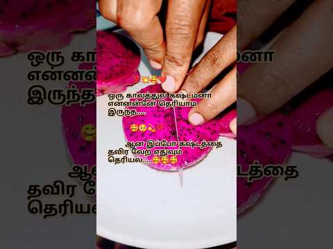 💯💫💥ஒரு காலத்துல கஷ்டம்னா என்னனே தெரியாம இருந்த.... #youtube #trending #love #2024 #erodefoodchannel