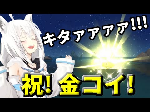 金コイ来たぁぁぁぁ！！？27日間にも及ぶ耐久配信に終止符を打ちリスナー共々感無量な白上フブキ【金コイ /ホロライブ /切り抜き 】