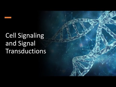 Cell Signaling and Signal Transductions