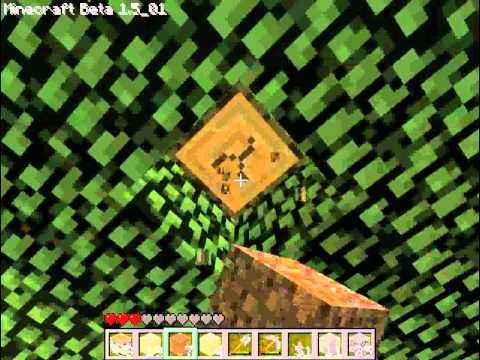 Minecraft Let's play Survival Island Episode 2