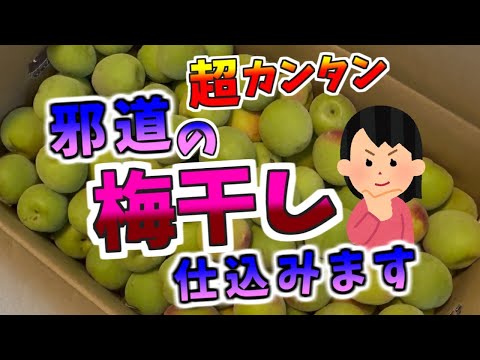 超カンタン！邪道の梅干し、仕込みます！