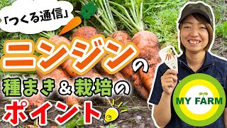 ニンジンの育て方を徹底解説！種まきから栽培中の管理・収穫まで【つくる通信】