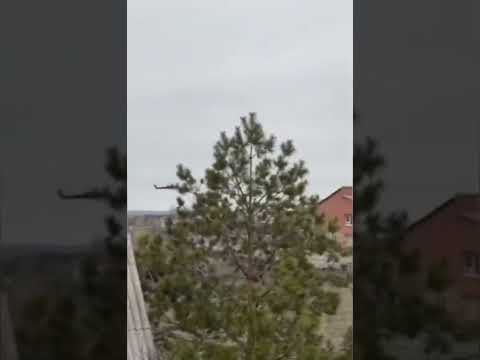 Russian Mi-28N Havoc near Popasnaya. #shorts #mi28 #ukraine #war #helicopter #attackhelicopter