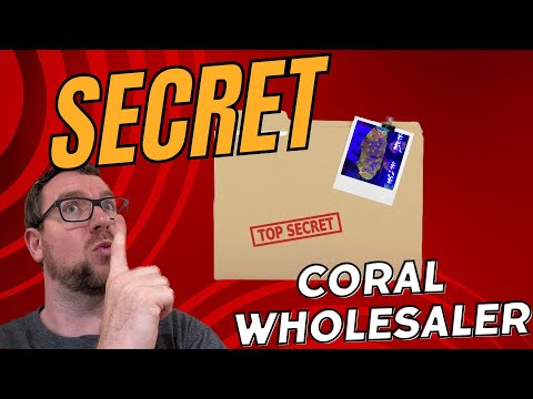 Super Secret Coral Wholesaler Tour