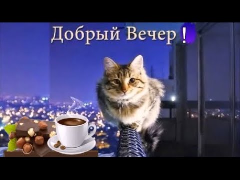 Добрый вечер ! Доброго Приятного Вечера! Красивое пожелание доброго вечера.