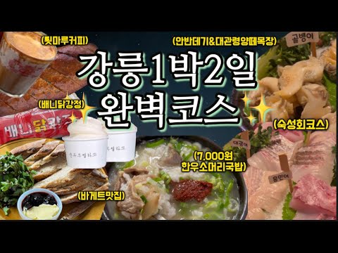 강릉 1박2일 여행 완벽코스!(현지인맛집/유명맛집/별구경드라이브/양떼목장)