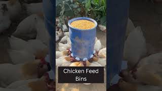 Containerized Chicken Feeding: Modern Solutions for Urban Poultry Husbandry