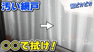 【洗剤なし】網戸を一発でピカピカにするプロの簡単お掃除術！