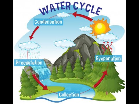 The Natural Water Cycle