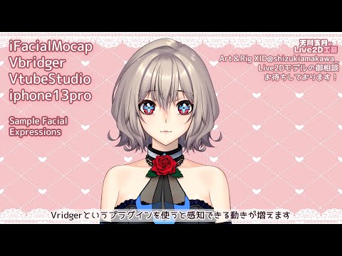 【Live2D Vbridger】表情サンプル　Sample Facial Expressions