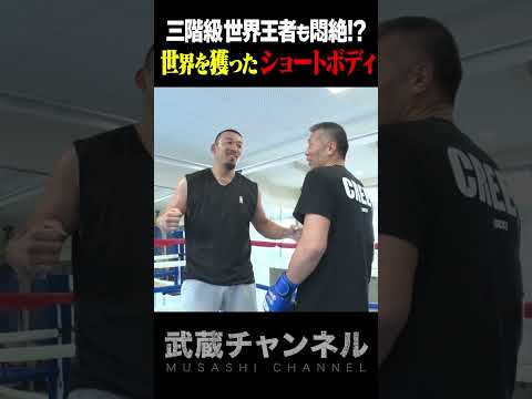 【世界チャンプ悶絶！】内臓エグるショートボディの威力！#shorts #boxing #内山高志 #長谷川穂積 #武蔵