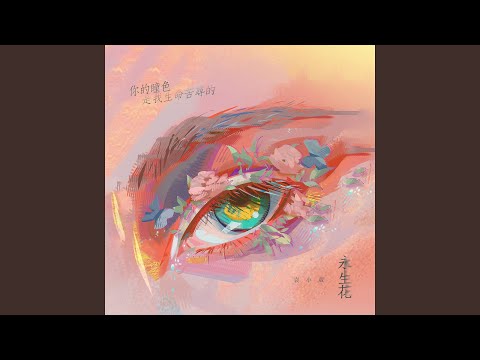 你的瞳色是我生命苦寻的永生花 (X1.2加速版)