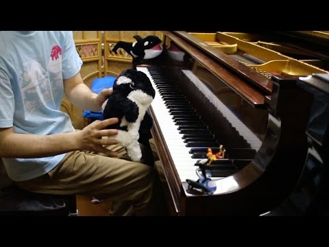 【pianoYN】七つの海のティコ：Sea loves you【シャチに入ってみた】