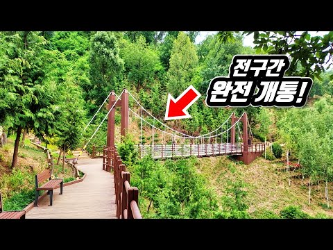 Huge Forest Trekking Course in the City of Korea