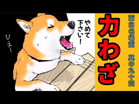 【世界の終わりに柴犬と】切り抜き編集 # 94《多勢に無勢。》  #世界の終わりに柴犬と  #アニメ #柴犬