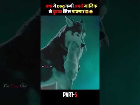 #dog #story #movie #amazingfacts #kahani #kgfvssalaar #facts #hindimovie #hindisong #funny