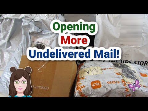 Opening UNDELIVERED MAIL Again!  Was It Worth It?