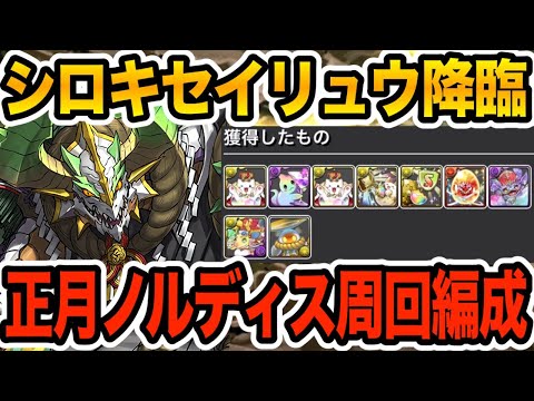 【シロキセイリュウ降臨】正月ノルディスで快適周回！報酬もウマいぞ！！！【パズドラ】