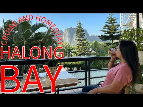 CHAO VIETNAM! Homestay With View to HALONG BAY and 1 Day Cruise Full Experience