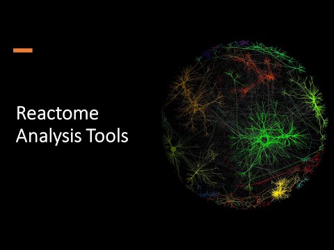 Reactome Analysis Tools