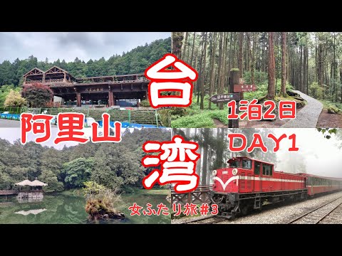 【台湾旅行2024GW③】阿里山一泊二日の旅 森林浴を満喫してきました(#28)