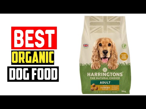 ✅Top 5  Best Organic Dog Food in 2024