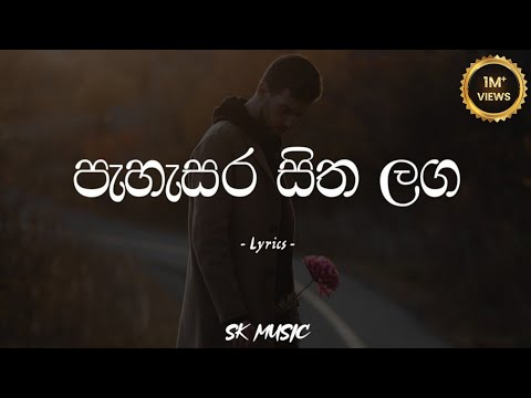 Pahasara Sitha Laga | පැහැසර සිත ලග (Lyrics) - Niro Brave