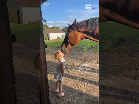 A bond like no other: Child and horse share sweet moment | Humankind #shorts #goodnews