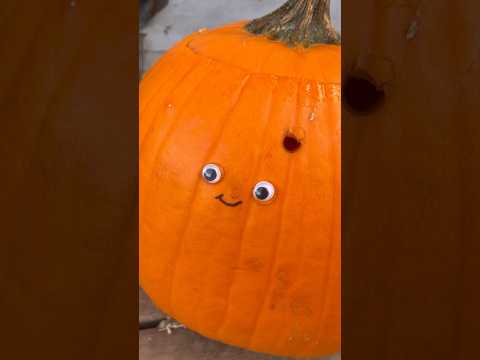 Making Jack-O’-Lanterns on the ranch part 2 #shorts #farm #halloween #pumpkin #carving #birds #funny