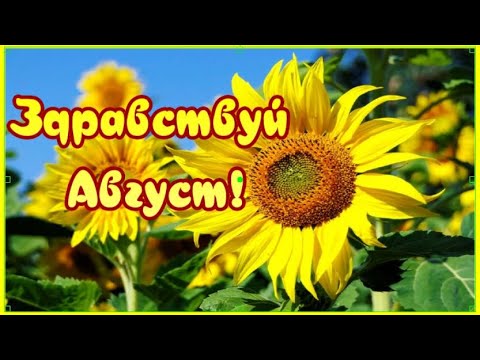 Добро пожаловать в Август!Здравствуй Август!