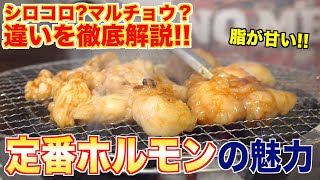 【徹底解説】定番ホルモンの魅力