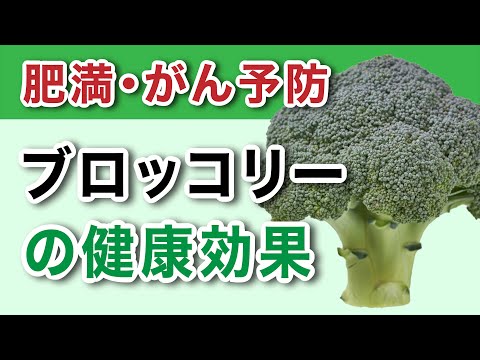 【若返りの野菜】スーパー食材「ブロッコリー」の健康効果！