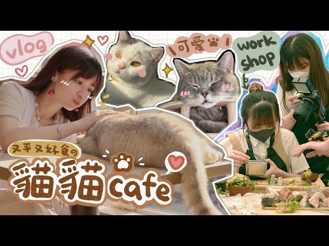 VLOG 🌈又平又好食嘅貓貓cafe！同蛙妹一齊去做盆景workshop🪴+打邊爐 日常【放假去邊好？】｜肥蛙 mandies kwok