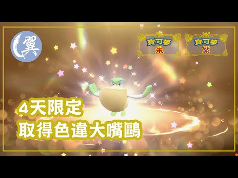 4天限定! 取得色違大嘴鷗! - Pokémon Scarlet & Violet 寶可夢 朱／紫