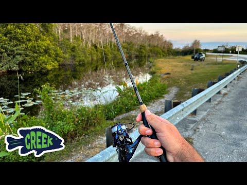 Roadside Fishing through the Everglades