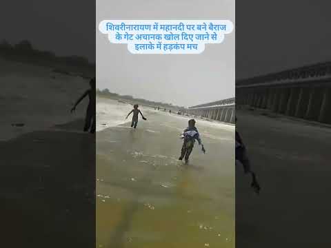 लईका बोहा गै शिवरीनारायण महानदी में #viral #shorts