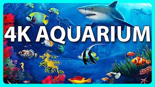 The Best 4K Aquarium for Relaxation 🐠 Relaxing Oceanscapes - Sleep Meditation 4K UHD Screensaver