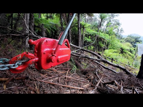 Restoring a Vintage Army Tirfor Winch and Pulling over Trees leaning towards the House