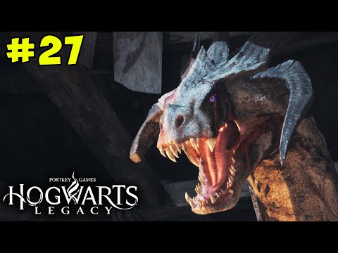 DRAGON FIGHT CLUB | Hogwarts Legacy | Let's Play Episode 27