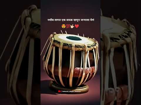 नशीब लागत एक वादक म्हणुन जन्माला येणं 🤟🏻😍