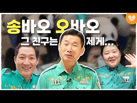 강바오는 후배들을 어떻게 생각할까? 🐼 가장 가까이에서 지켜본 사람의 증언 I 송바오 오바오