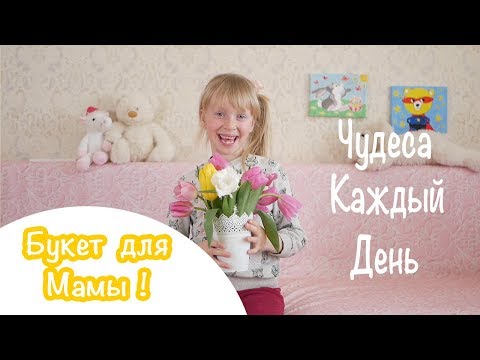 Цветы Весны - Тюльпаны / Чудеса Каждый День