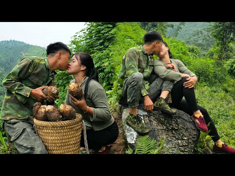 Love is strength together Harvest taro and bring to market to sell | Linh's Life