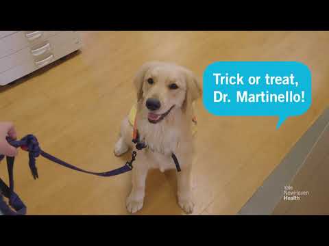 Halloween safety tips with Nana, dog-in-residence