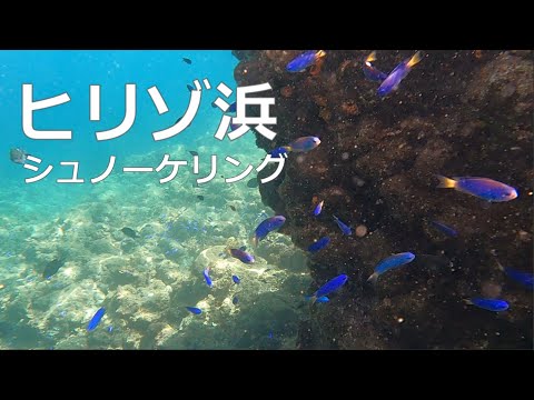 【ヒリゾ浜の魚たち】Snorkeling in Hirizo Beach   Aug 11, 2022