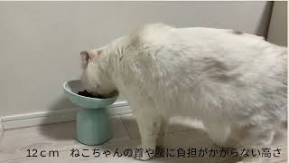 らくらくフードボウル【猫用食器】【食べやすい高さ】