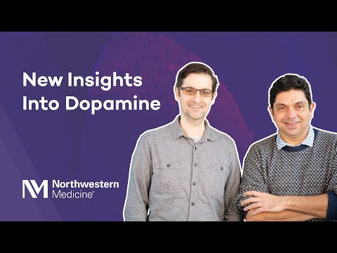 New Insights Into Dopamine with Raj Awatramani, PhD and Daniel Dombeck, PhD