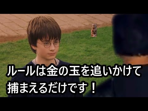 クィディッチの指導者に抜擢されるデスイーターひろゆき【おしゃべりひろゆきメーカー】