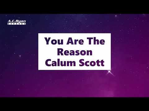 You Are The Reason - Calum Scott (Karaoke Version)